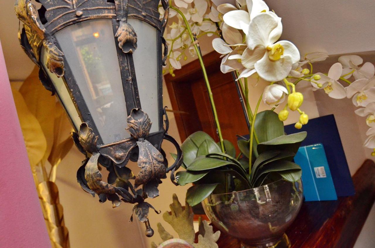 Hotel Meduza Bečići Ngoại thất bức ảnh